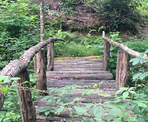Mountain Laurel Farm Mountain Laurel Farm