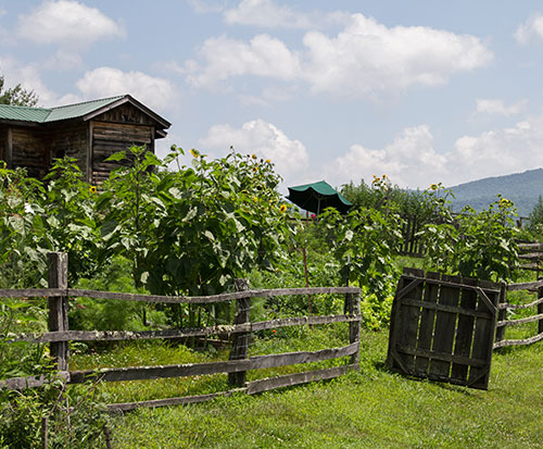 Mountain Laurel Farm Mountain Laurel Farm