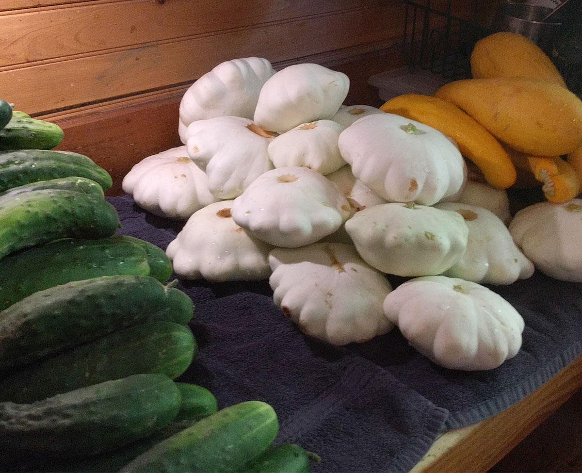 Mountain Laurel Farm Mountain Laurel Farm