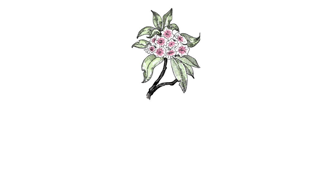 Mountain Laurel Farm Mountain Laurel Farm
